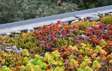 the cost of Goverton green roof installation